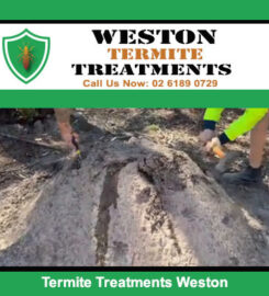 Weston Termite Treatments