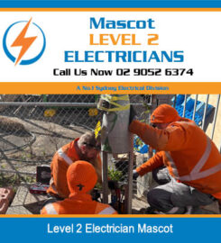 Mascot Level 2 Electricians