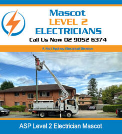 Mascot Level 2 Electricians