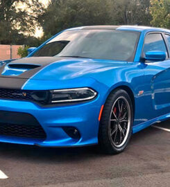 Atlantic Tint and Wraps