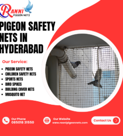 Raani Pigeon Nets Fixing in GachiBowli