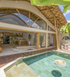 International Property Alerts