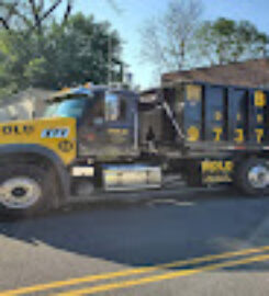 Bold Disposal