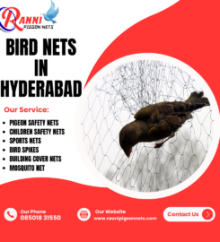 Raani Pigeon Nets Fixing in GachiBowli
