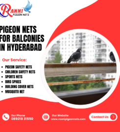 Raani Pigeon Nets Fixing in GachiBowli