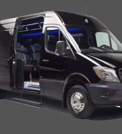 Deluxe Limousine & Transportation of Houston