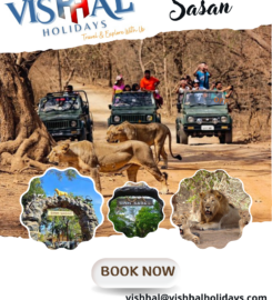Vishhal Holidays – Tours & Travels