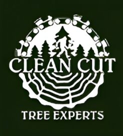 Clean Cut Tree Experts