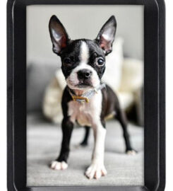 Framing Establishment