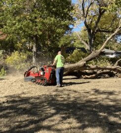 Kansas Tree Experts