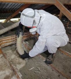 Home Insulation