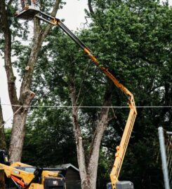 Kansas Tree Experts