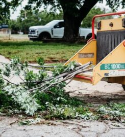 Kansas Tree Experts