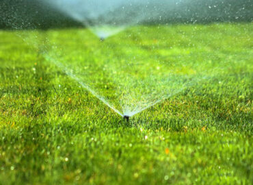 Yard Solutions Weed Control