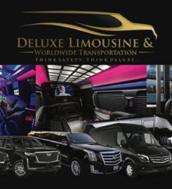 Deluxe Limousine & Transportation of Houston