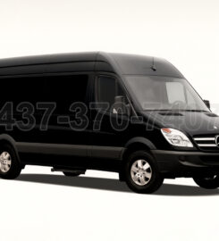 Platinum Rides