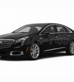 Platinum Rides