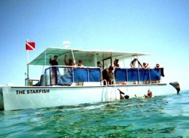 Starfish Snorkeling FL
