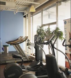 Brampton Physiotherapy + Wellness Institute