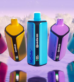 Vapsolo Disposable Vapes
