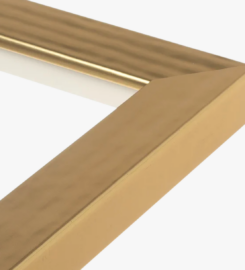 Framing Establishment