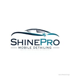 ShinePro Mobile Detailing