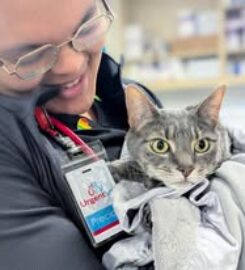 Urgent Vet