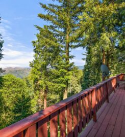 Mrs. Lake Arrowhead Real Estate