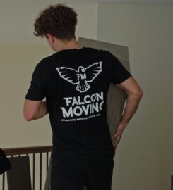 Falcon Moving Company