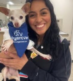 Urgent Vet