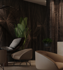 Vigour Aesthetics & Wellness