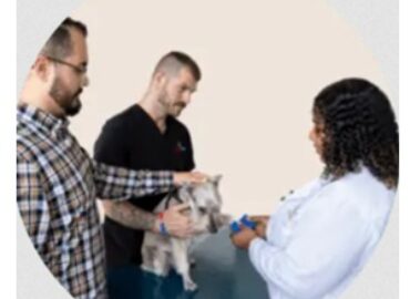 Urgent Vet