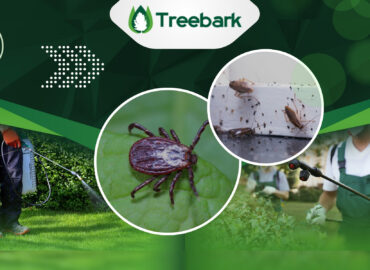 Treebark Termite and Pest Control
