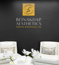 Bonakdar Aesthetics