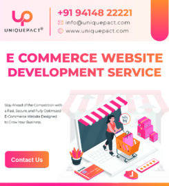 Ecommerce Website Development Company India
