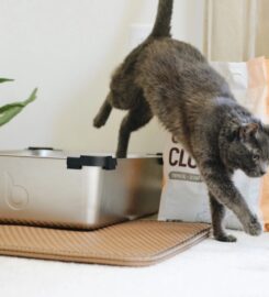 Dookie Doctors Pet Waste Removal