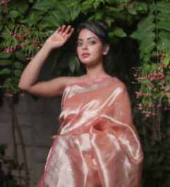 Shree Barasi Saree