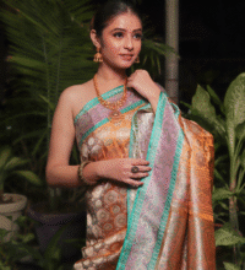 Shree Barasi Saree
