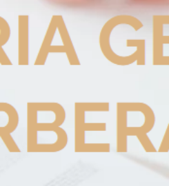 Maria Geier, Steuerberaterin