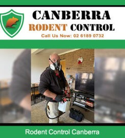 Canberra Rodent Control