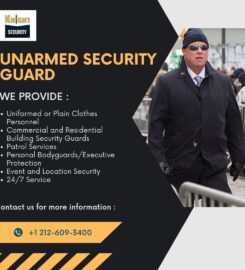 Kinght Security