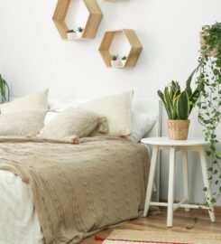 Clean Spaces SD