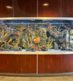 Champion Aquariums
