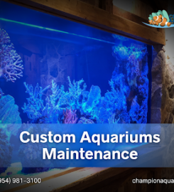 Champion Aquariums