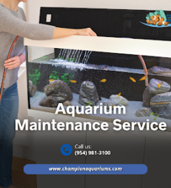 Champion Aquariums