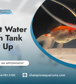 Champion Aquariums