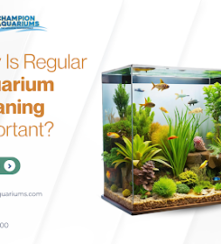 Champion Aquariums
