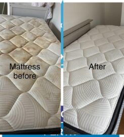 D G Carpet Cleaning Perth