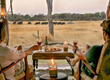 Professional Safari Africa