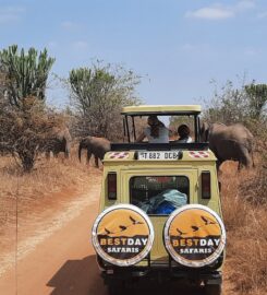 Bestday Safaris